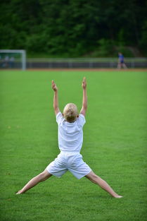 九游.中国官网-高校运动训练动态管理机制,高校运动训练动态管理机制有哪些